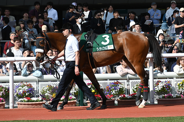 2024 Antares Stakes  G3  2024 04 14 HANSHIN 11R Sarah 4 Year Old Open THE ANTARES STAKES 14H   2Victipharus  Hanshin Racecourse in Hyogo, Japan, April 14, 2024.  Photo by Eiichi Yamane AFLO 
