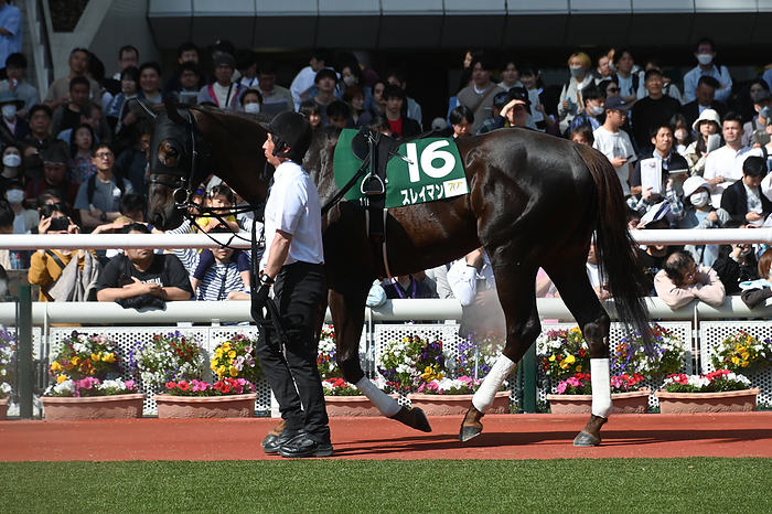 2024 Antares Stakes  G3  2024 04 14 HANSHIN 11R Sarah 4 Year Old Open THE ANTARES STAKES 2nd   3 favorite Suleyman  Hanshin Racecourse in Hyogo, Japan, April 14, 2024.  Photo by Eiichi Yamane AFLO 