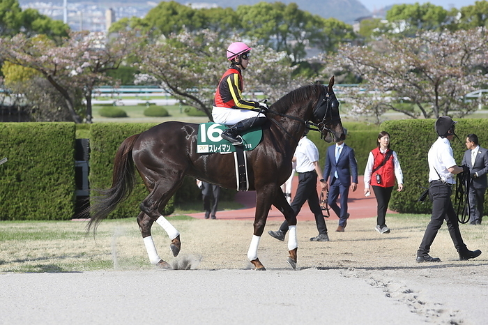 2024 Antares Stakes  G3  2024 04 14 HANSHIN 11R Sarah 4 Year Old Open THE ANTARES STAKES 2nd   3 favorite Suleyman Arata Saito Jockey  Hanshin Racecourse in Hyogo, Japan, April 14, 2024.