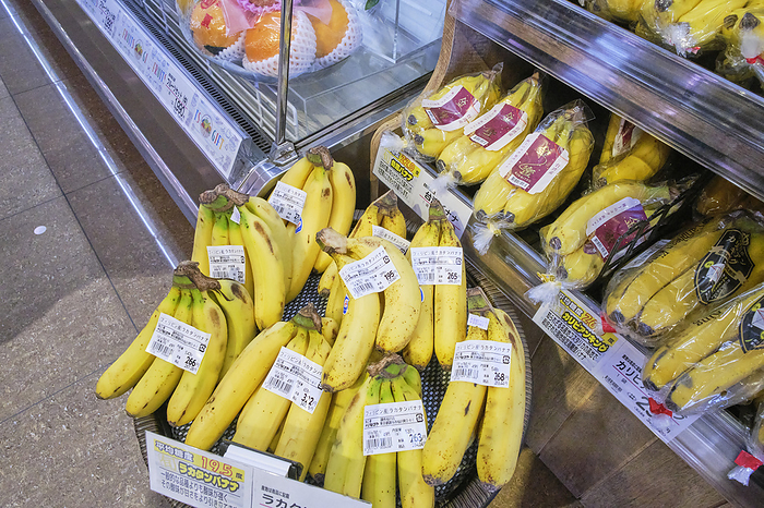 Photo taken in 2024 Supermarket job   banana display shelf March 2024 Chofu shi, Tokyo Whinageya Chofu Sengawa
