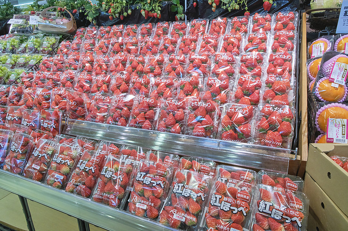 2024 Photo taken Supermarket Job   Fruit Department March 2024 Chofu City, Tokyo Whinigaya Chofu Sengawa Store Strawberries  Tochiotome from Tochigi, Benihoppe from Shizuoka , etc.