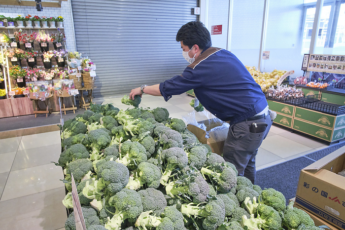 2024 Photo taken Supermarket job   arranging vegetables March 2024 Chofu shi, Tokyo Whinageya Chofu Sengawa