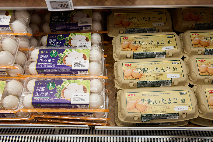 Supermarket job photographed in 2024   Egg department March 2024 Chofu shi, Tokyo Whinageya Chofu Sengawa