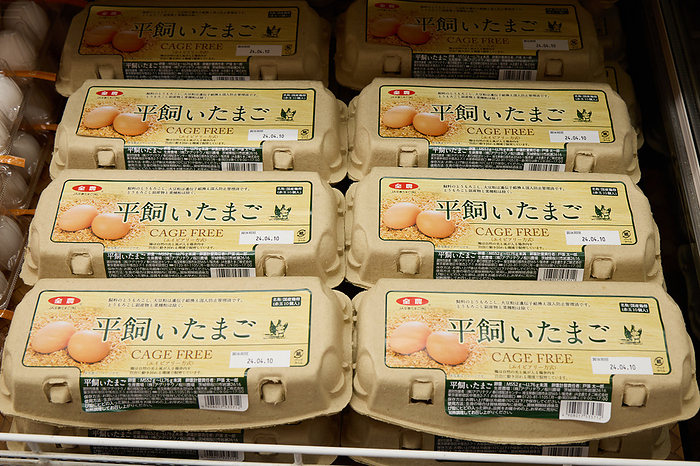 Supermarket job photographed in 2024   Egg department March 2024 Chofu shi, Tokyo Whinageya Chofu Sengawa