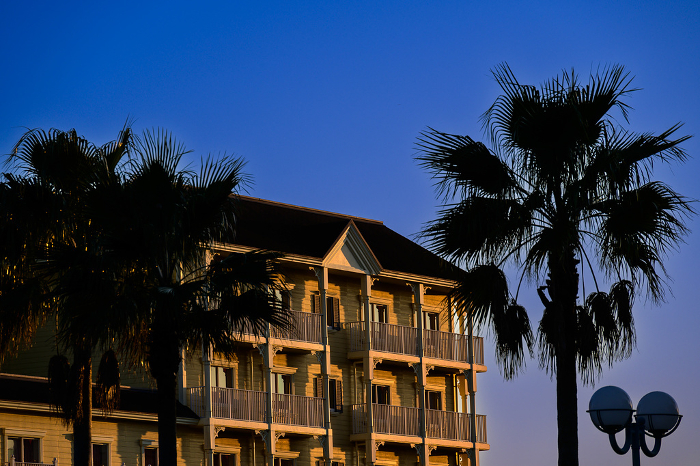 Hotels with palm trees