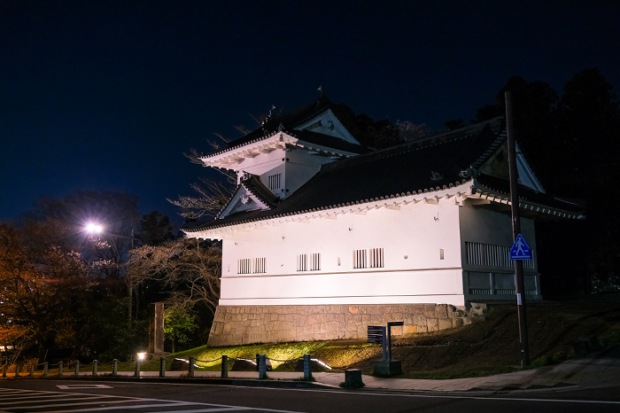 Sendai Castle at night, Sendai City, Miyagi Prefecture