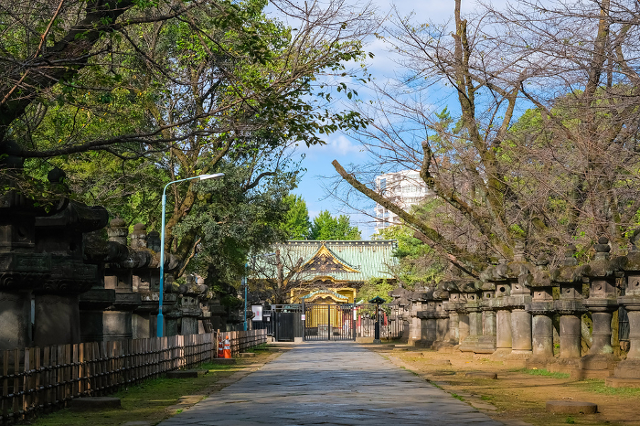 Approach and worship hall, Ueno Toshogu Shrine, Taito-ku, Tokyo