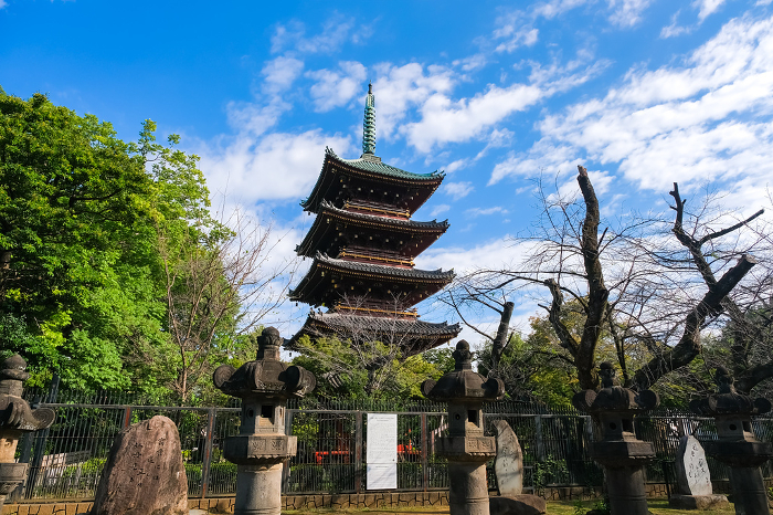 Five-story pagoda of the former Kan-eiji Temple, Uenokoen, Taito-ku, Tokyo