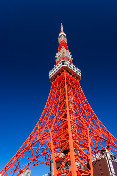Tokyo Tower, Minato-ku, Tokyo