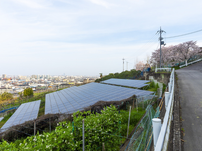 Solar panels installed on a slope
