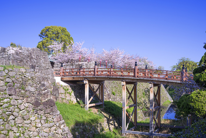 Koriyama Castle Ruins Yamato Koriyama City, Nara Pref. 100 Famous Castles of Japan No.165 One hundred famous cherry blossom viewing spots in Japan Gokuraku Bridge 
