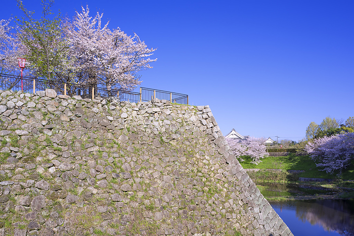 Koriyama Castle Ruins Yamato Koriyama City, Nara Pref. 100 Famous Castles of Japan No.165 One of the 100 best cherry blossom viewing spots in Japan Honmaru Stone Wall 