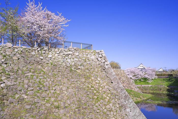Koriyama Castle Ruins Yamato Koriyama City, Nara Pref. 100 Famous Castles of Japan No.165 One of the 100 best cherry blossom viewing spots in Japan Honmaru Stone Wall 
