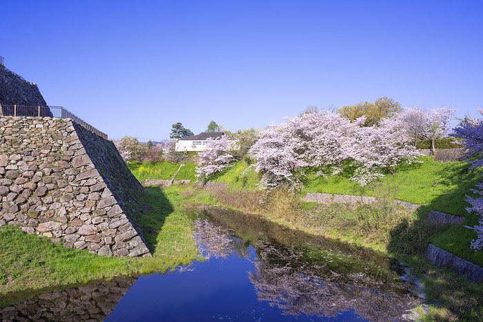 Koriyama Castle Ruins Yamato Koriyama City, Nara Pref. 100 Famous Castles of Japan No.165 One of the 100 best cherry blossom viewing spots in Japan Stonewalls of Honmaru and castle tower 
