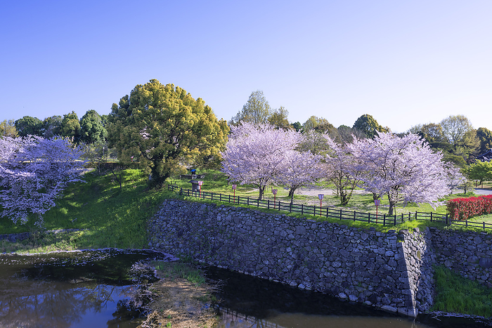 Koriyama Castle Ruins Yamato Koriyama City, Nara Pref. 100 Famous Castles of Japan No.165 One of the 100 best cherry blossom viewing spots in Japan Ruins of Tokiwa Curved Ring seen from the castle 