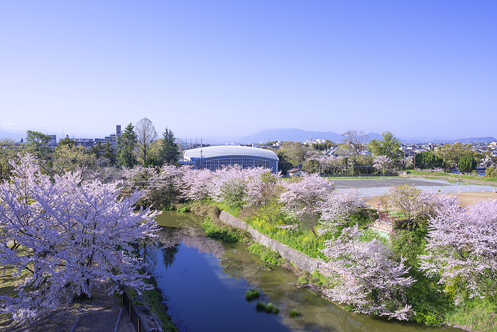 Koriyama Castle Ruins Yamato Koriyama City, Nara Pref. 100 Famous Castles of Japan No.165 One of the 100 best cherry blossom viewing spots in Japan The castle ruins walking trail as seen from the castle tower and castle keep 