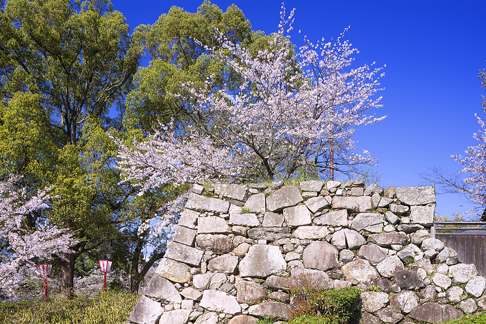 Koriyama Castle Ruins Yamato Koriyama City, Nara Pref. 100 Famous Castles of Japan No.165 One of the 100 best cherry blossom viewing spots in Japan Kitchen turret ruins 