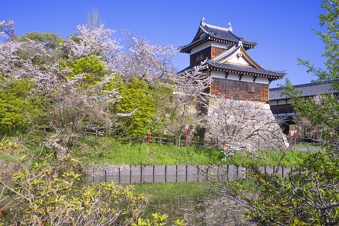 Koriyama Castle Ruins Yamato Koriyama City, Nara Pref. 100 Famous Castles of Japan No.165 100 famous cherry blossom viewing spots in Japan 