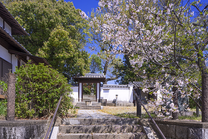 Dainagonzuka, Yamato Koriyama City, Nara Pref.