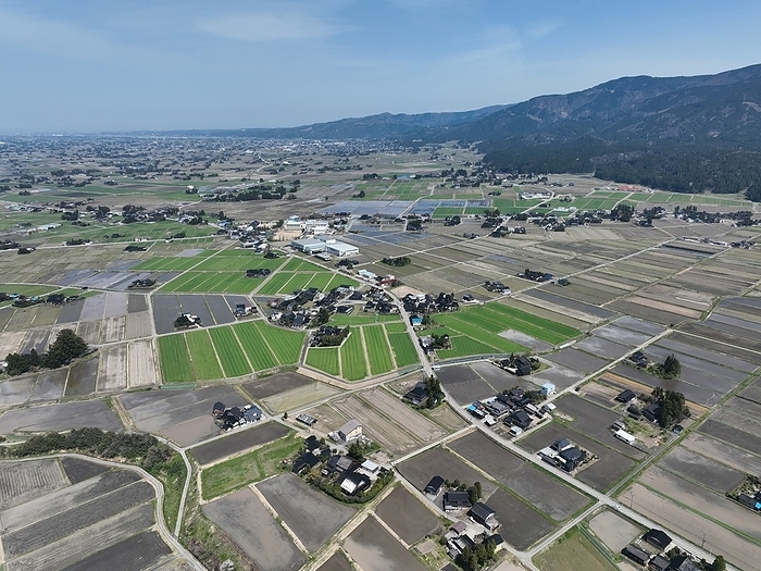 Scattered villages in Tonami Plain, Toyama Prefecture Sankyoson is a settlement form in which private houses  isolated villas  are scattered and interspersed throughout a large area of arable land. It is generally called sanson. Photo gy Shogo Asao