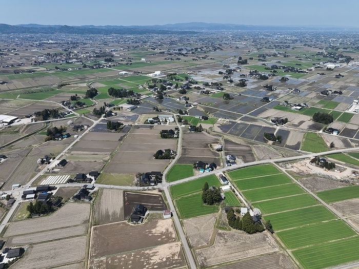 Scattered villages in Tonami Plain, Toyama Prefecture Sankyoson is a settlement form in which private houses  isolated villas  are scattered and interspersed throughout a large area of arable land. It is generally called sanson. Photo gy Shogo Asao