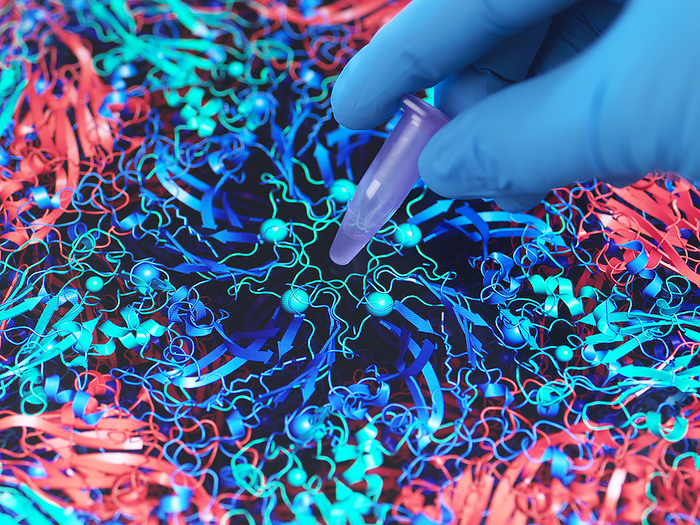 Infectious disease research, conceptual image Infectious disease research, conceptual image. Scientist holding a vial containing a sample with a molecular model of a virus the background., by TEK IMAGE SCIENCE PHOTO LIBRARY
