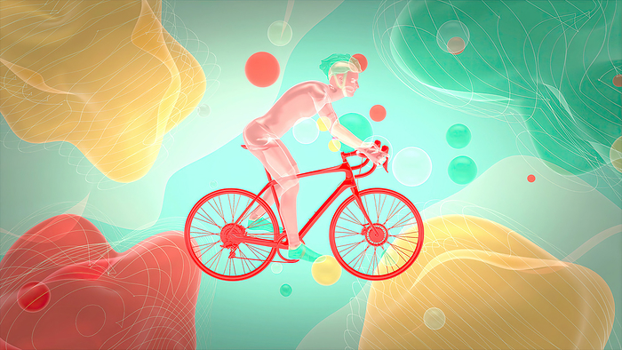 Cyclist, illustration Cyclist, illustration., by JULIEN TROMEUR SCIENCE PHOTO LIBRARY