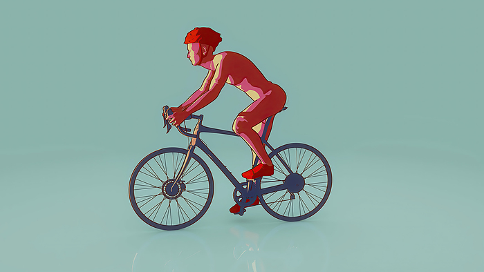 Cyclist, illustration Cyclist, illustration., by JULIEN TROMEUR SCIENCE PHOTO LIBRARY