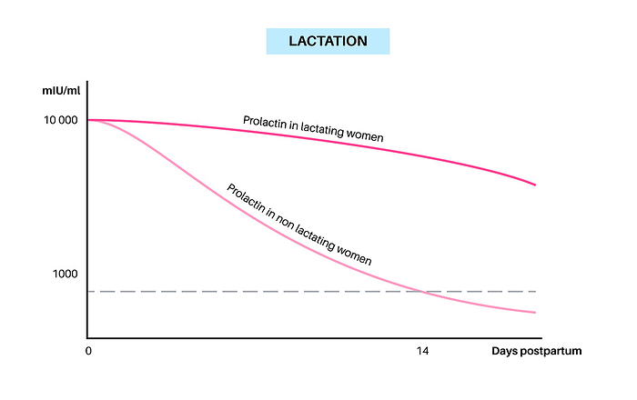 Lactation infographic, illustration Lactation infographic, illustration. Prolactin levels in the female body and hormonal changes during postpartum days., by PIKOVIT   SCIENCE PHOTO LIBRARY