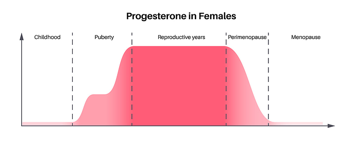 Female progesterone hormone lifecycle, illustration Female progesterone hormone lifecycle, illustration. Progesterone levels in infancy, puberty, reproductive years, perimenopause and menopause., by PIKOVIT   SCIENCE PHOTO LIBRARY