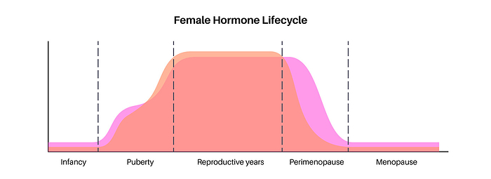 Female hormones lifecycle, illustration Female hormones lifecycle, illustration. Oestrogen end progesterone levels in infancy, puberty, reproductive years, perimenopause and menopause., by PIKOVIT   SCIENCE PHOTO LIBRARY