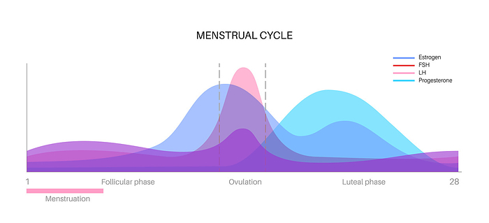 Hormones during menstrual, illustration Hormones during the menstrual cycle, illustration., by PIKOVIT   SCIENCE PHOTO LIBRARY