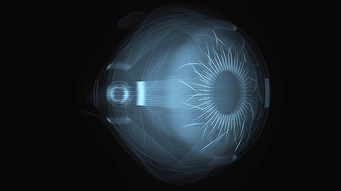 Eye scan, conceptual illustration Eye scan, conceptual illustration., by JULIEN TROMEUR SCIENCE PHOTO LIBRARY