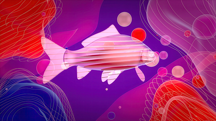 Fish, illustration Fish, illustration., by JULIEN TROMEUR SCIENCE PHOTO LIBRARY