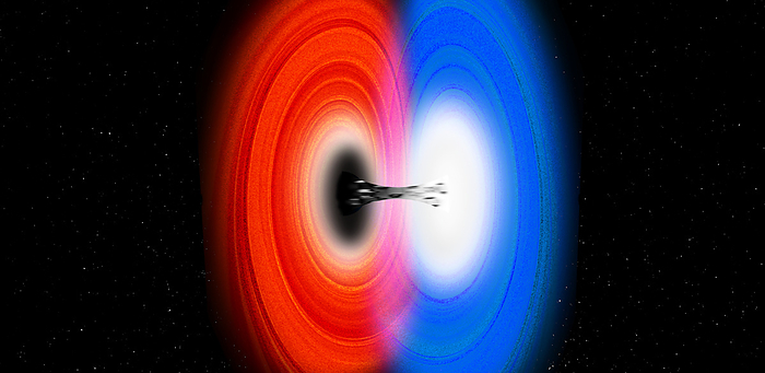 Black hole to white hole transition, conceptual illustration Conceptual illustration depicting matter transitioning from a black hole to a white hole. Black holes are regions in space time where the gravitational force is so strong that even light cannot escape. Conversely, a white hole is a hypothetical region in space time that is the opposite of a black hole. This signifies that nothing can enter it from the outside, but matter and energy would be ejected outwards. The possibility exists that a black hole might be connected to a white hole through a tunnel like structure called a wormhole. However, this idea is purely theoretical, and there is currently no direct observational evidence to support it., by VICTOR de SCHWANBERG SCIENCE PHOTO LIBRARY