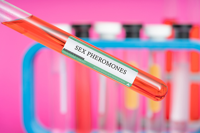 Sex pheromones, conceptual image Sex pheromones. These are used by animals to attract mates and signal reproductive readiness., by Wladimir Bulgar SCIENCE PHOTO LIBRARY