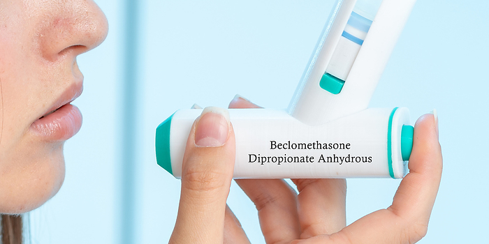 Beclomethasone dipropionate inhaler, conceptual image Beclomethasone dipropionate anhydrous medical inhaler, conceptual image. A corticosteroid used to prevent and control symptoms of asthma by reducing airway inflammation., by Wladimir Bulgar SCIENCE PHOTO LIBRARY