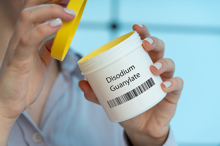 Disodium guanylate food additive, conceptual image Disodium guanylate food additive, conceptual image. A flavour enhancer that may cause allergic reactions, especially in individuals sensitive to MSG., by Wladimir Bulgar SCIENCE PHOTO LIBRARY