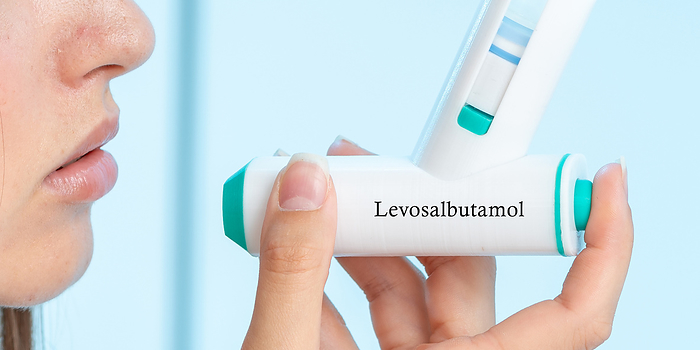 Levosalbutamol medical inhaler, conceptual image Levosalbutamol medical inhaler, conceptual image. A selective beta2 adrenergic agonist used for the relief of bronchospasm in conditions such as asthma and COPD  chronic obstructive pulmonary disease ., by Wladimir Bulgar SCIENCE PHOTO LIBRARY