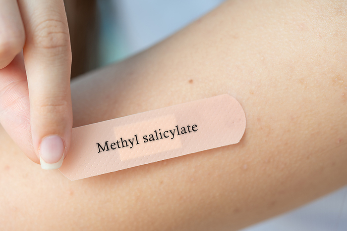 Methyl salicylate dermal patch, conceptual image Methyl salicylate transdermal patch, conceptual image. Topical analgesic used for pain relief., by Wladimir Bulgar SCIENCE PHOTO LIBRARY