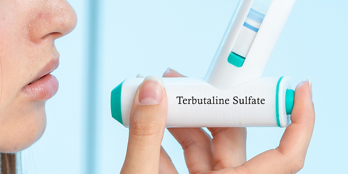 Terbutaline sulphate medical inhaler, conceptual image Terbutaline sulphate medical inhaler, conceptual image. A short acting beta2 adrenergic agonist used for the relief of acute bronchospasm in conditions like asthma and COPD  chronic obstructive pulmonary disease ., by Wladimir Bulgar SCIENCE PHOTO LIBRARY