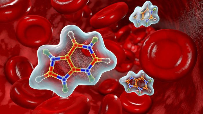 Uric acid molecule in blood circulation, illustration Illustration of the molecular structure of uric acid in circulation, emphasising its presence within the bloodstream during metabolic processes., by KATERYNA KON SCIENCE PHOTO LIBRARY
