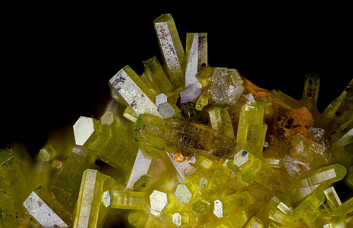 Pyromorphite micromount, macrophotograph Pyromorphite micromount, macrophotograph. Pyromorphite is composed of lead chlorophosphate, and in sufficient amount can be mined as an ore of lead. Micromounts are tiny minerals, best viewed using microscopy. Magnification: x15 when printed at 10 centimetres wide., by FRANK FOX SCIENCE PHOTO LIBRARY