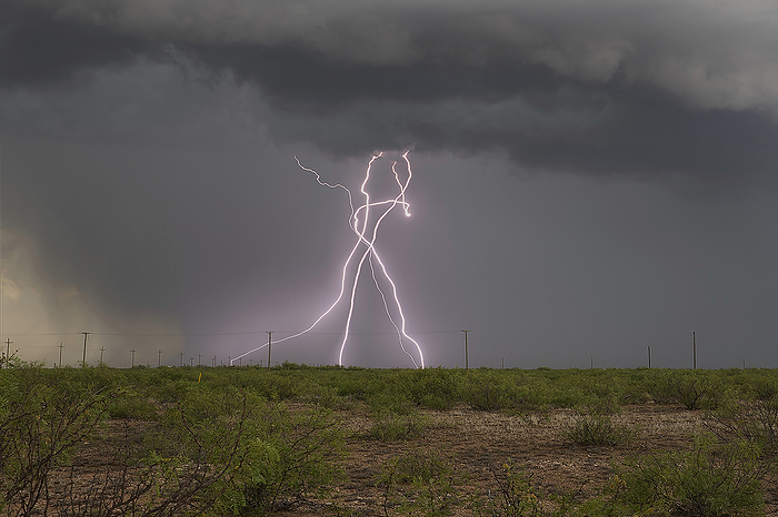 Lightning strike over southwest Texas, USA Supercell thunderstorm with lightning strike over fields near Kermit, Texas, USA. A supercell thunderstorm is a severe long lived storm within which the wind speed and direction changes with height. This produces a strong rotating updraft of warm air, known as a mesocyclone, and a separate downdraft of cold air. Tornadoes may form in the mesocyclone, in which case the storm is classified as a tornadic supercell thunderstorm. The storms also produce torrential rain and hail. Photographed on 1st July 2023., by ROGER HILL SCIENCE PHOTO LIBRARY