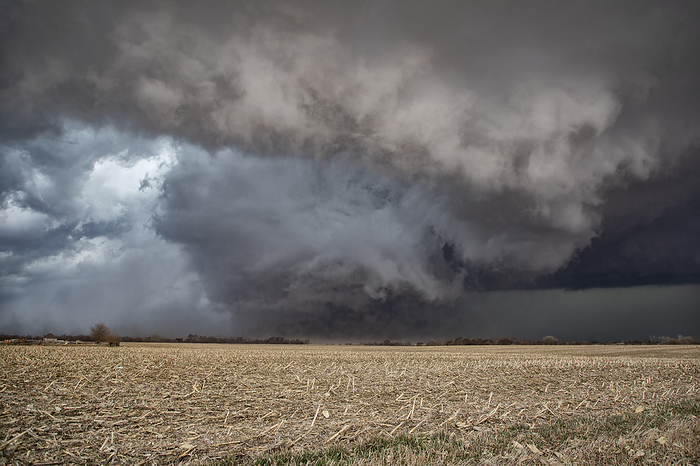 Large tornado, Ollie, Iowa, USA A tornado is a violently rotating column of air descending from a mesocyclone associated with a supercell thunderstorm. This EF4 strength tornado formed near Ollie, Iowa, USA. Photographed on 31st March 2023., by ROGER HILL SCIENCE PHOTO LIBRARY