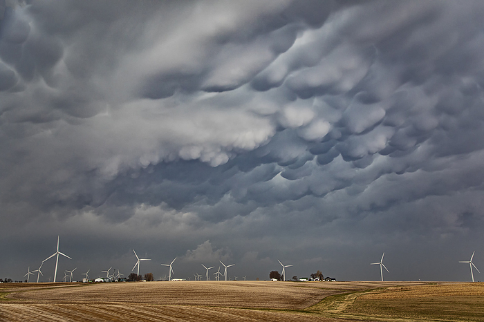 Mammatus clouds over wind turbines near Pleasantville, Iowa, USA Supercell thunderstorm with mammatus clouds over a field near Austin, Texas, USA. A supercell thunderstorm is a severe long lived storm within which the wind speed and direction changes with height. This produces a strong rotating updraft of warm air, known as a mesocyclone, and a separate downdraft of cold air. Tornadoes may form in the mesocyclone, in which case the storm is classified as a tornadic supercell thunderstorm. The storms also produce torrential rain and hail. Photographed on 4th April 2023., by ROGER HILL SCIENCE PHOTO LIBRARY