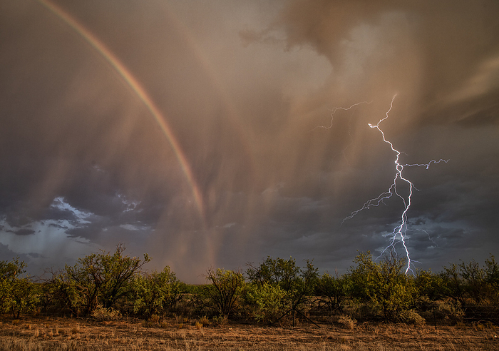 Lightning strike over Three Points, Arizona, USA Monsoon thunderstorm producing a lightning strike and rainbow over Three Points, Arizona, USA. These monsoon thunderstorms also produced very high winds and torrential, flooding rainfall. Photographed on 29th July 2023., by ROGER HILL SCIENCE PHOTO LIBRARY