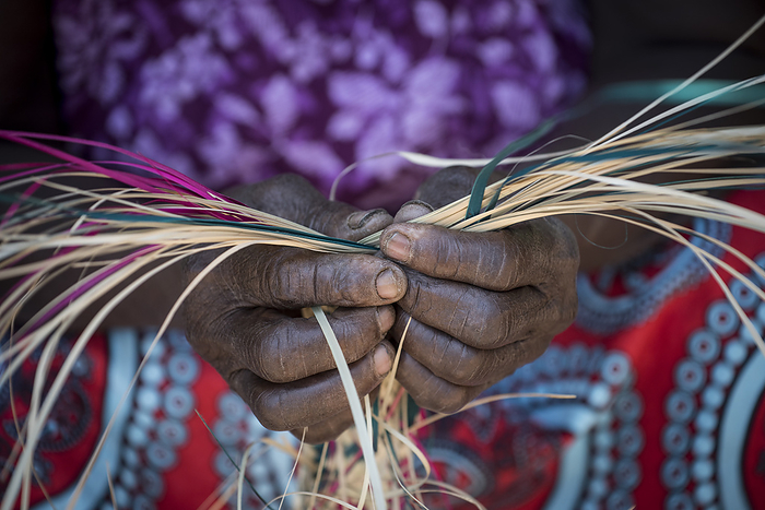 Woman weaving basket, Kenya Close up of the hands of a woman weaving a basket. Photographed in West Karachuongo, Kaluoch, Homa Bay County, Kenya., by KAREN KASMAUSKI SCIENCE PHOTO LIBRARY
