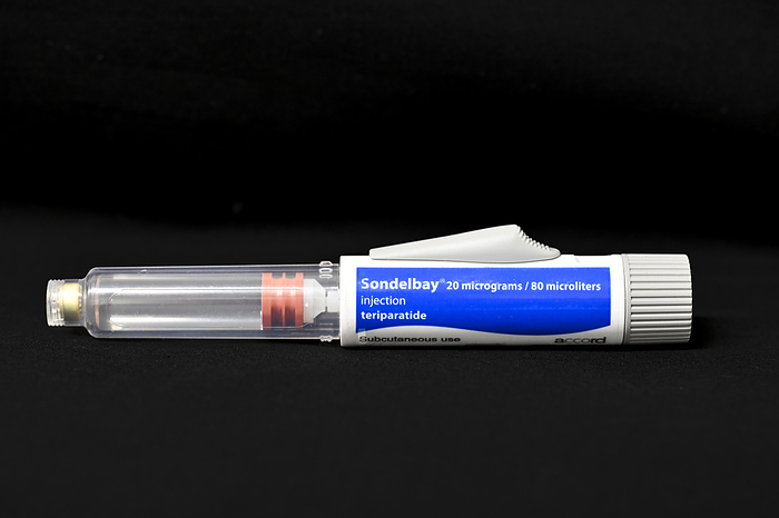 Sondelbay osteoporosis drug pen Sondelbay osteoporosis drug in a pre filled pen. Osteoporosis happens when new bones do not grow enough to replace the naturally broken down bones. Over time, the bones become less dense and more prone to fractures. The active ingredient in Sondelbay is teriparatide, which is similar to the human parathyroid hormone.  It works by stimulating bone formation through the activation of osteoblasts  bone forming cells ., by DR P. MARAZZI SCIENCE PHOTO LIBRARY