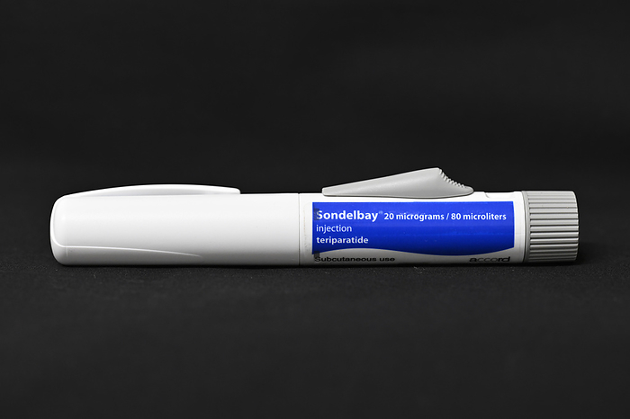 Sondelbay osteoporosis drug pen Sondelbay osteoporosis drug in a pre filled pen. Osteoporosis happens when new bones do not grow enough to replace the naturally broken down bones. Over time, the bones become less dense and more prone to fractures. The active ingredient in Sondelbay is teriparatide, which is similar to the human parathyroid hormone.  It works by stimulating bone formation through the activation of osteoblasts  bone forming cells ., by DR P. MARAZZI SCIENCE PHOTO LIBRARY